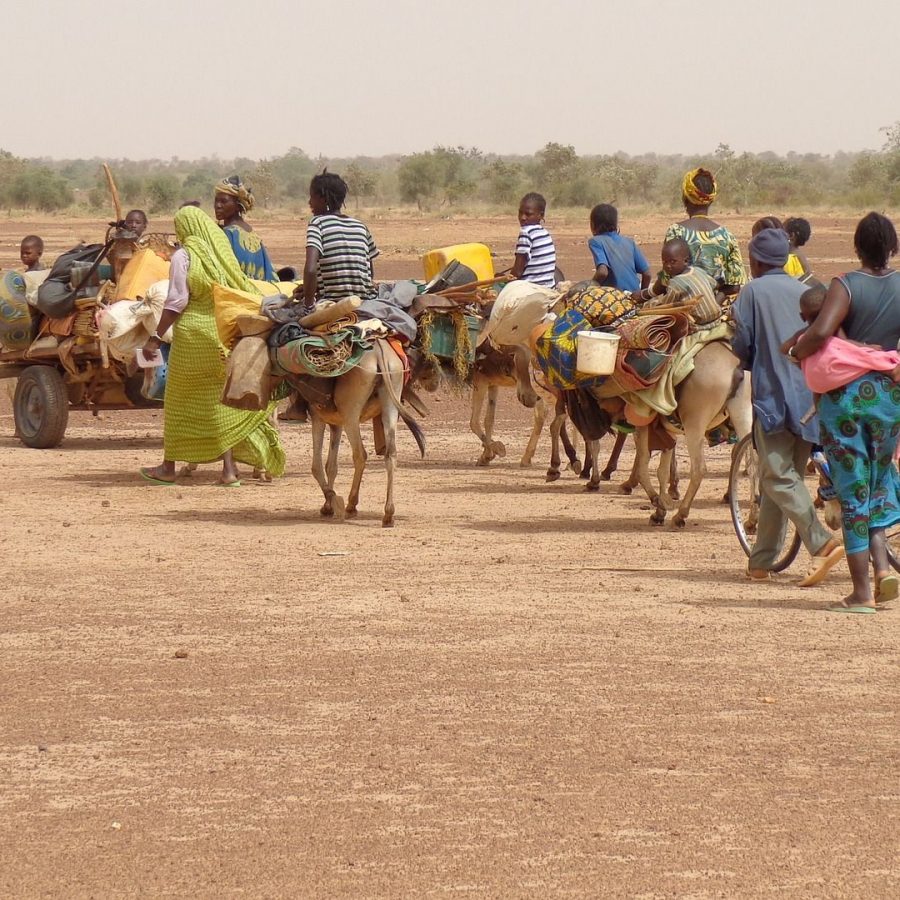 Soutěž o nejlepší DP v oblasti mezinárodní migrace