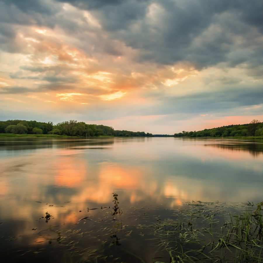 Konference Rybníky 2021